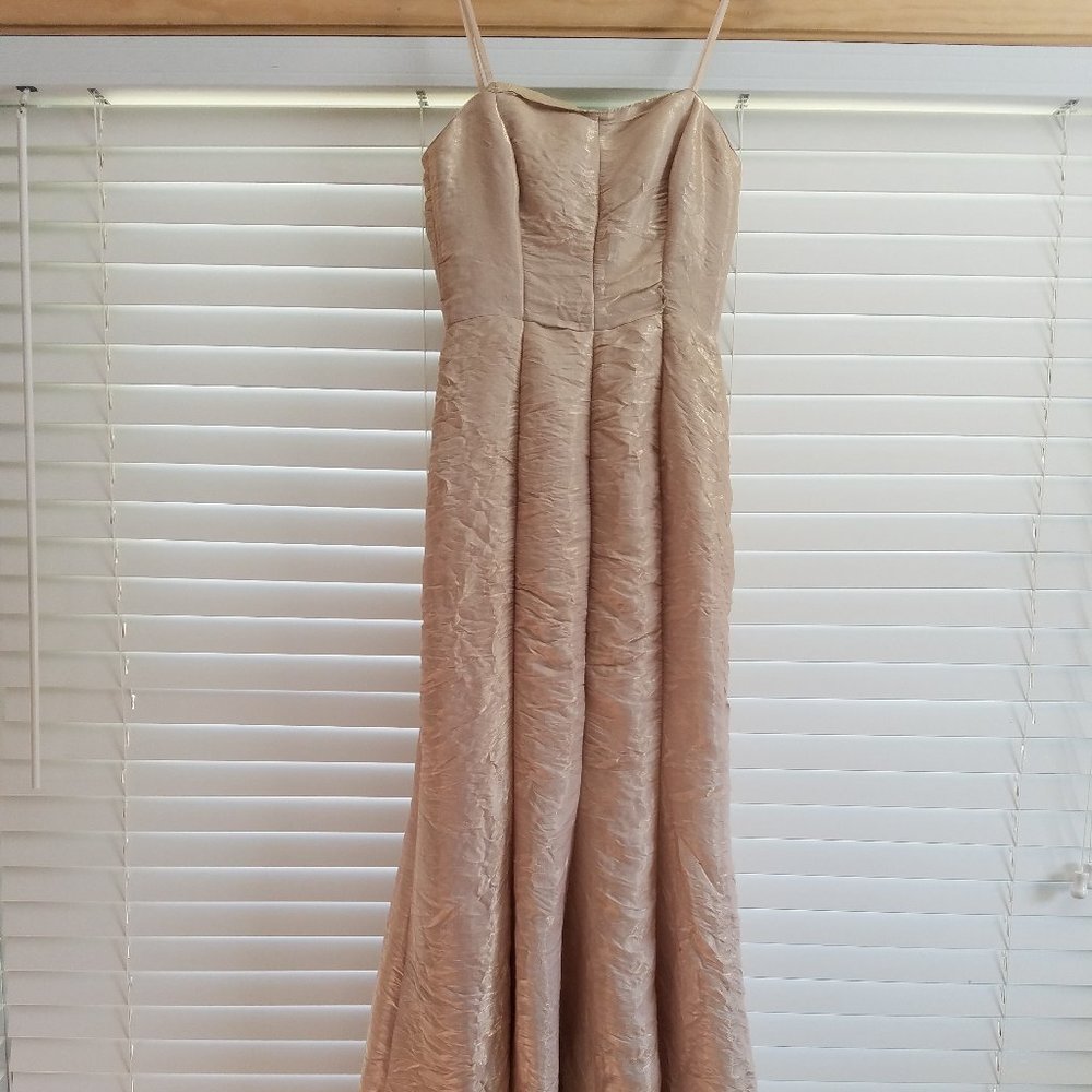 Adrianna Papell Boutique, mermaid flare Gown in shimmery golden beige hue - Sz 4